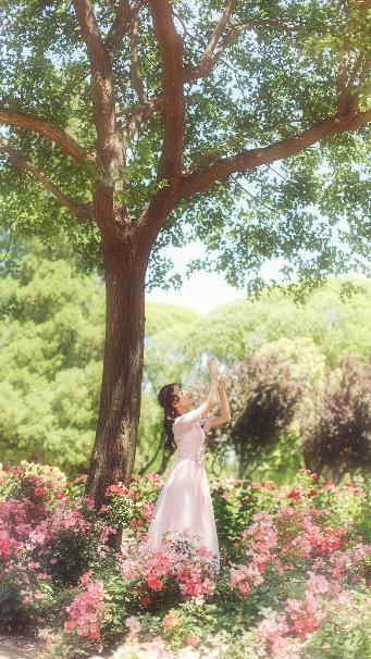 高压监狱在线观看完整免费高清原声高烧